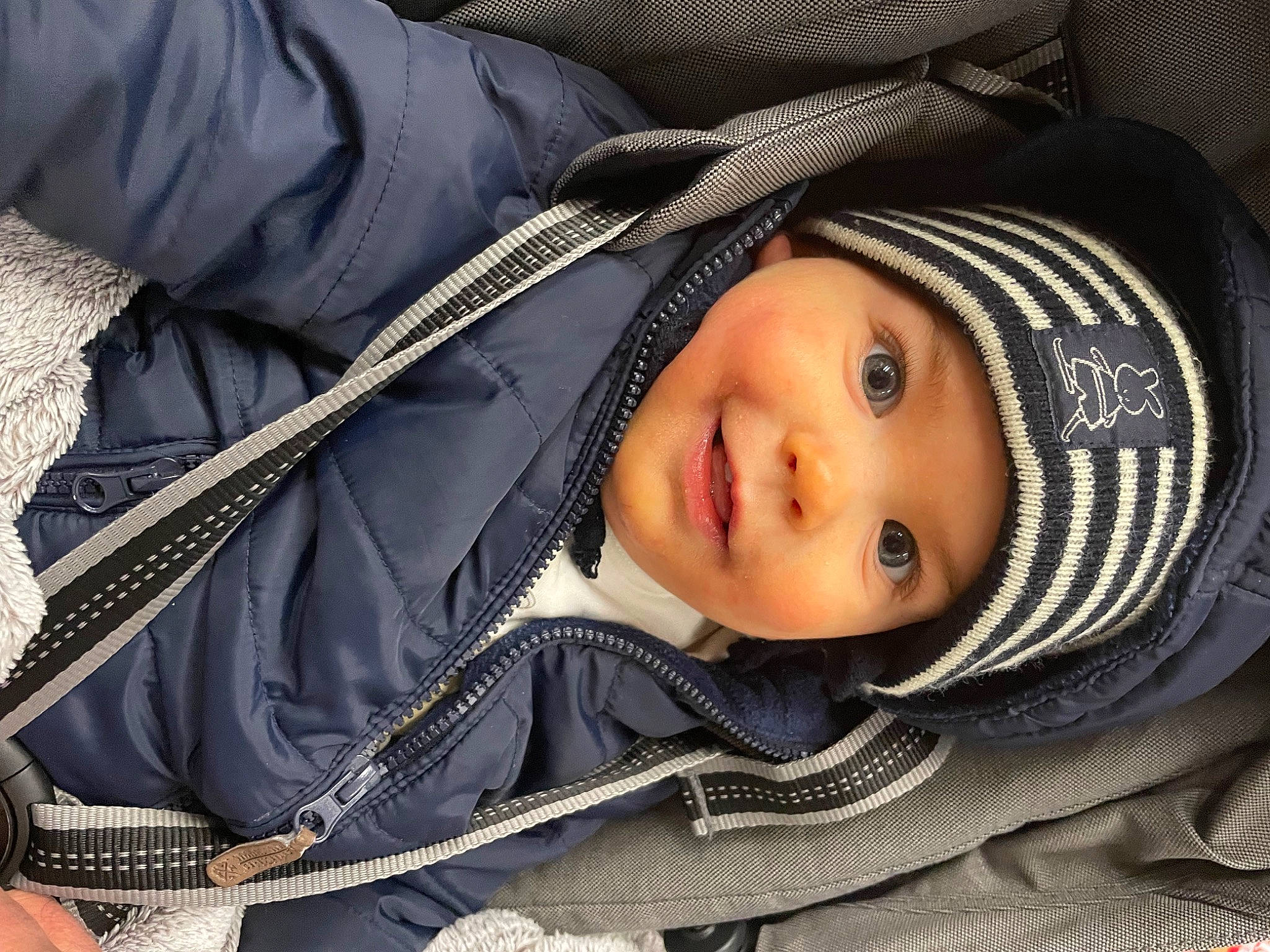 Harry a rejoint le concours — aidez-le/la à gagner de superbes lots ! baby, cheek, child, comfort, cool, eye, eyebrow, eyelash, flash_photography, headwear, jacket, lip, nose, outerwear, person, plant, skin, sleeve, toddler, tree