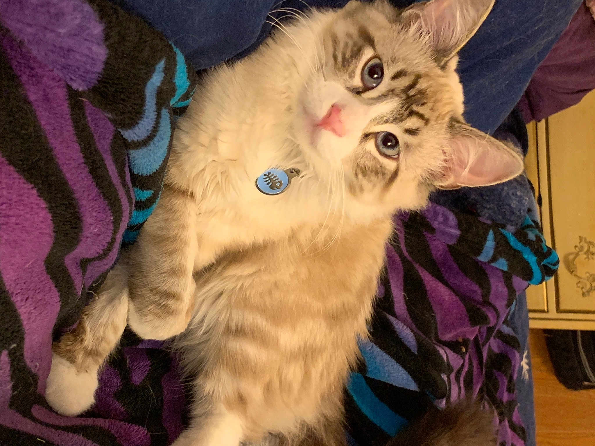 Odin