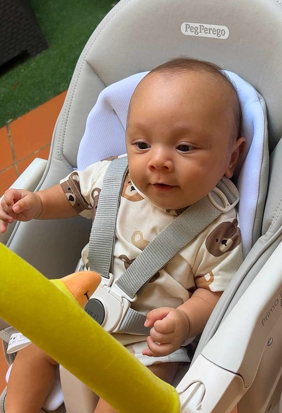 Jayden participe au concours pour gagner de l'argent avec cette photo : baby, child, high_chair, safety_harness, plush_toy, yellow_toy, bear_pattern, onesie, infant, outdoor, green_grass, terracotta_tiles, curious, cute, sitting, person, face, head, hand, soft_toy