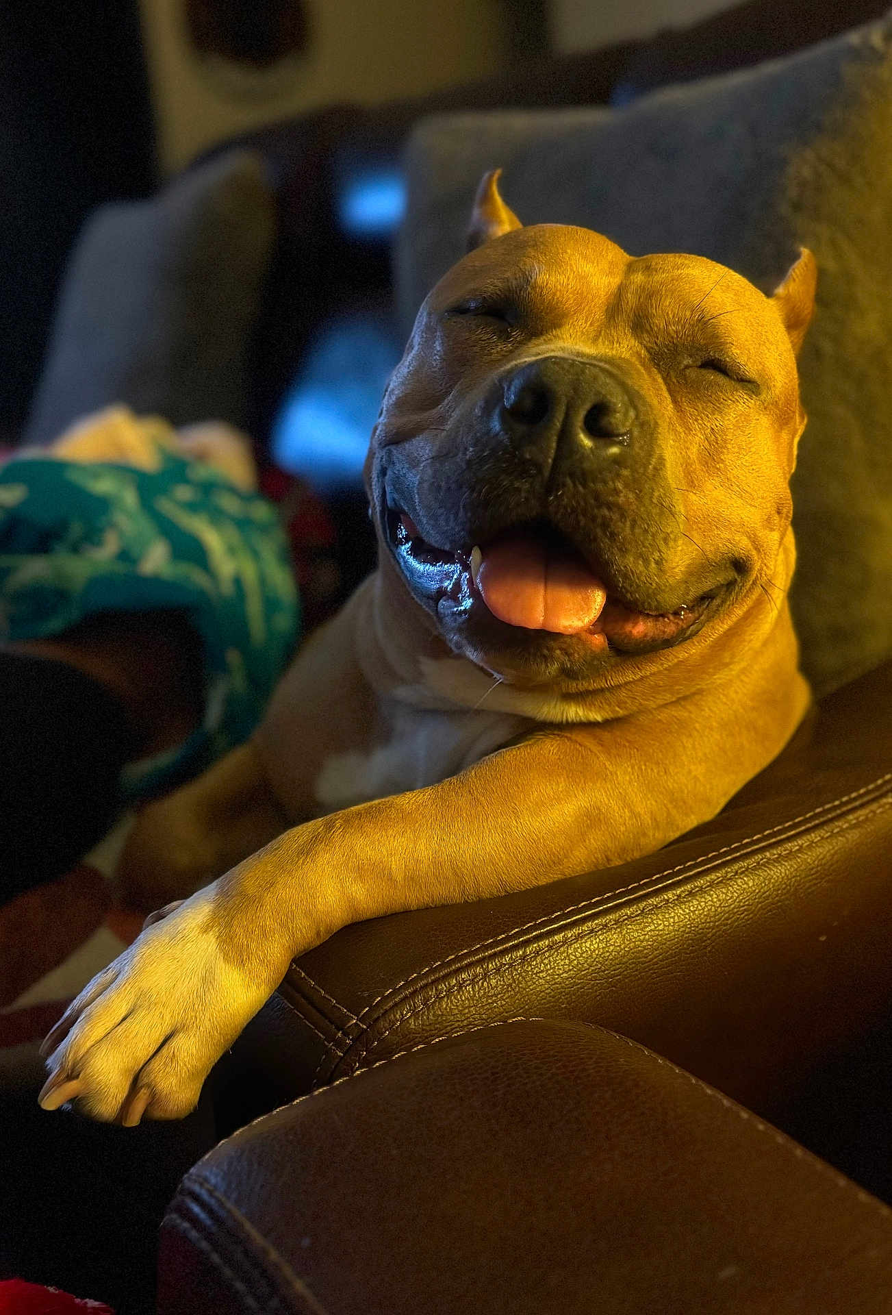 Georgie