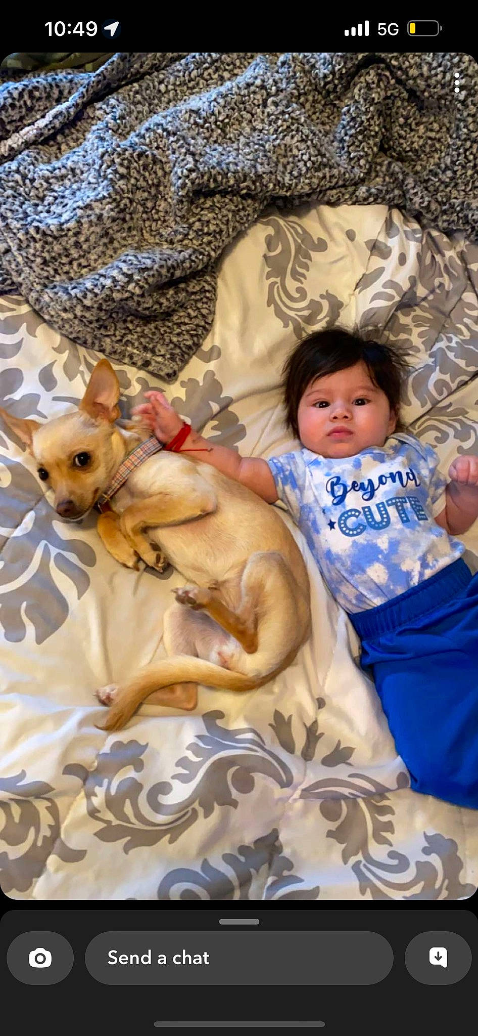 Kylen is registered to the contest to win money with this photo: art, baby, baby_toddler_clothing, carnivore, child, comfort, companion_dog, dog, dog_breed, event, fawn, felidae, fur, happy, linens, person, sporting_group, textile, toddler, toy