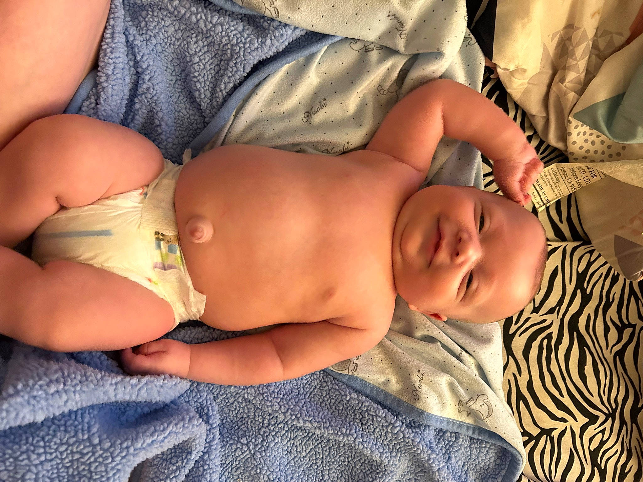 Paxton is registered to the contest to win money with this photo: abdomen, baby, cheek, chest, child, comfort, elbow, finger, glasses, hand, head, human_body, joint, mouth, muscle, person, skin, stomach, thigh, toddler