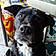 Daisey