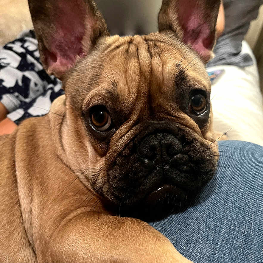 Coco