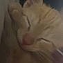 Lola is registered to the contest to win money with this photo: animal, cat, close_up, cozy, cute, domestic_cat, ear, face, feline, fur, indoor, mammal, nose, orange_tabby, peaceful, pet, resting, sleeping, soft, whiskers