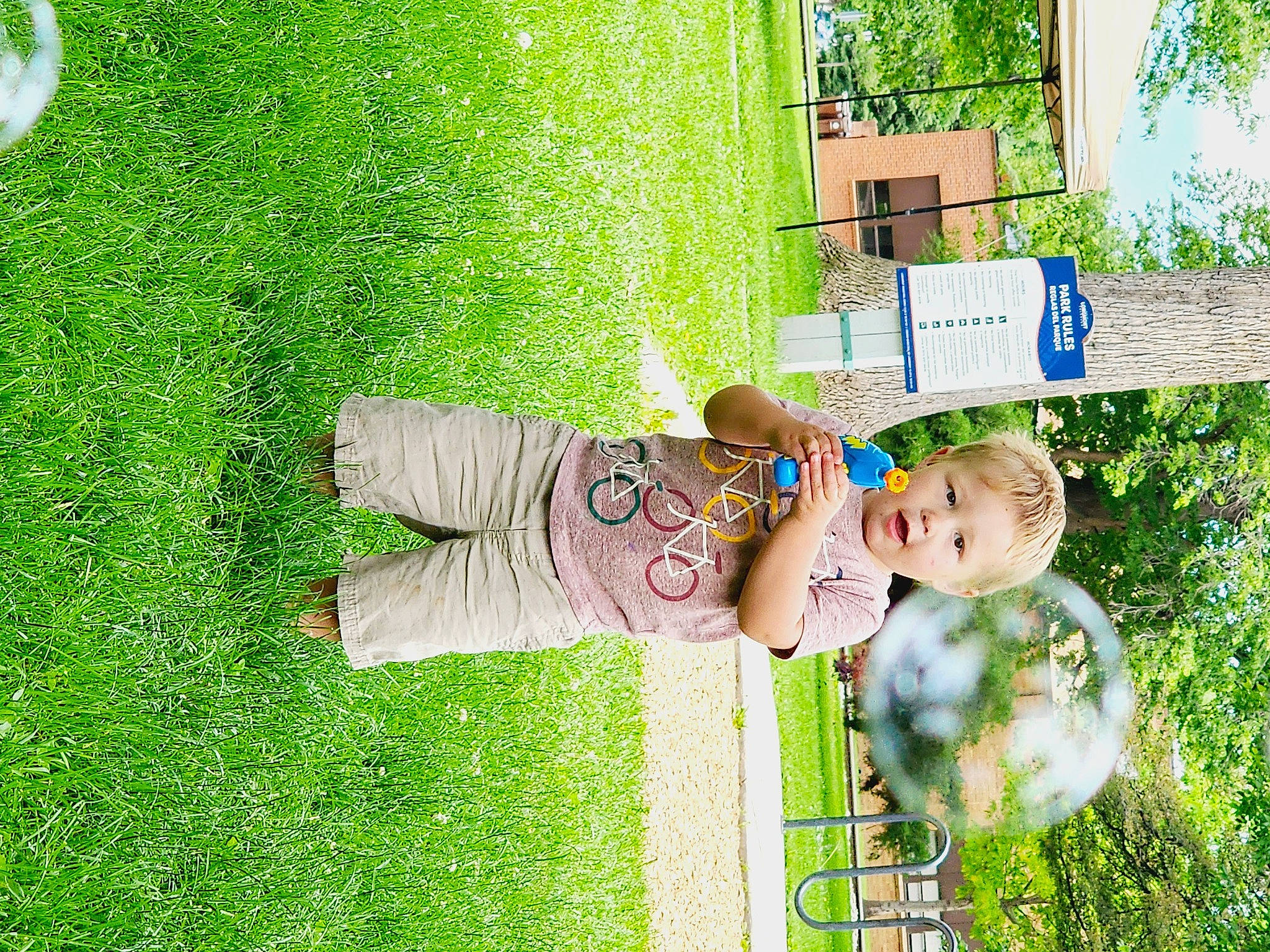 Johnathen is registered to the contest to win money with this photo: baby, baby_toddler_clothing, botany, child, fun, garden, grass, grass_family, grassland, green, groundcover, happy, lawn, leisure, people_in_nature, person, plant, shrub, sitting, toddler