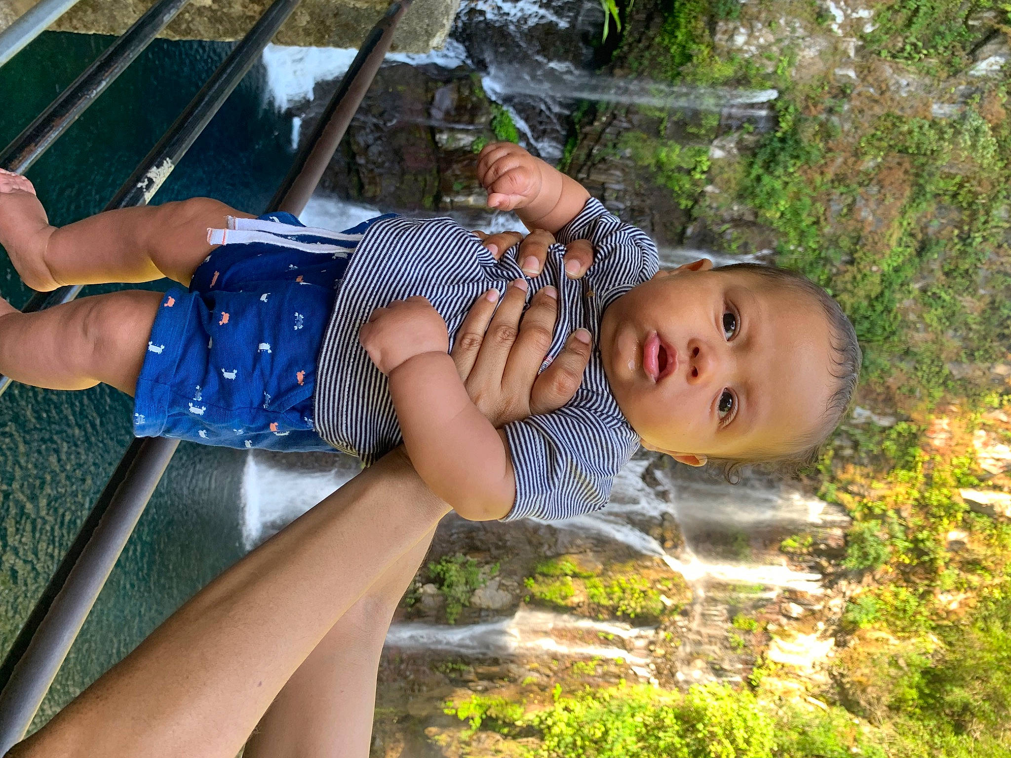 Léyan participe au concours pour gagner de l'argent avec cette photo : baby, baby_toddler_clothing, child, fun, grass, happy, human_leg, leisure, people_in_nature, person, plant, recreation, shorts, sunglasses, thigh, toddler, tree, vacation