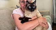 Simba joined the competition — help win amazing prizes! woman, cat, siamese_cat, glasses, couch, indoor, clock, photo_collage, plant, bracelet, casual_clothing, furniture, living_room, pet, hugging, blue_eyes, fluffy, home_decor, relaxed, seated
