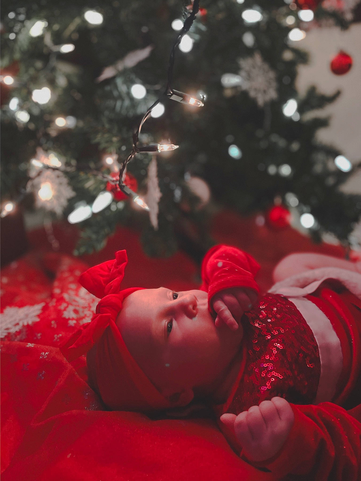 Maddison joined the competition — help win amazing prizes! christmas, christmas_decoration, christmas_eve, christmas_ornament, christmas_tree, event, grass, happy, head, holiday, holiday_ornament, leaf, ornament, people_in_nature, person, plant, tints_and_shades, toddler, tree, winter