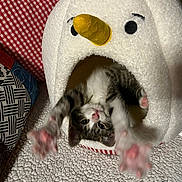 Watson a rejoint le concours — aidez-le/la à gagner de superbes lots ! kitten, cat, cat_bed, snowman, stretching, paws, cozy, indoor, furniture, cushions, pattern, plush, pet, playful, animal, cute, whiskers, tabby, pink_paw_pads, soft