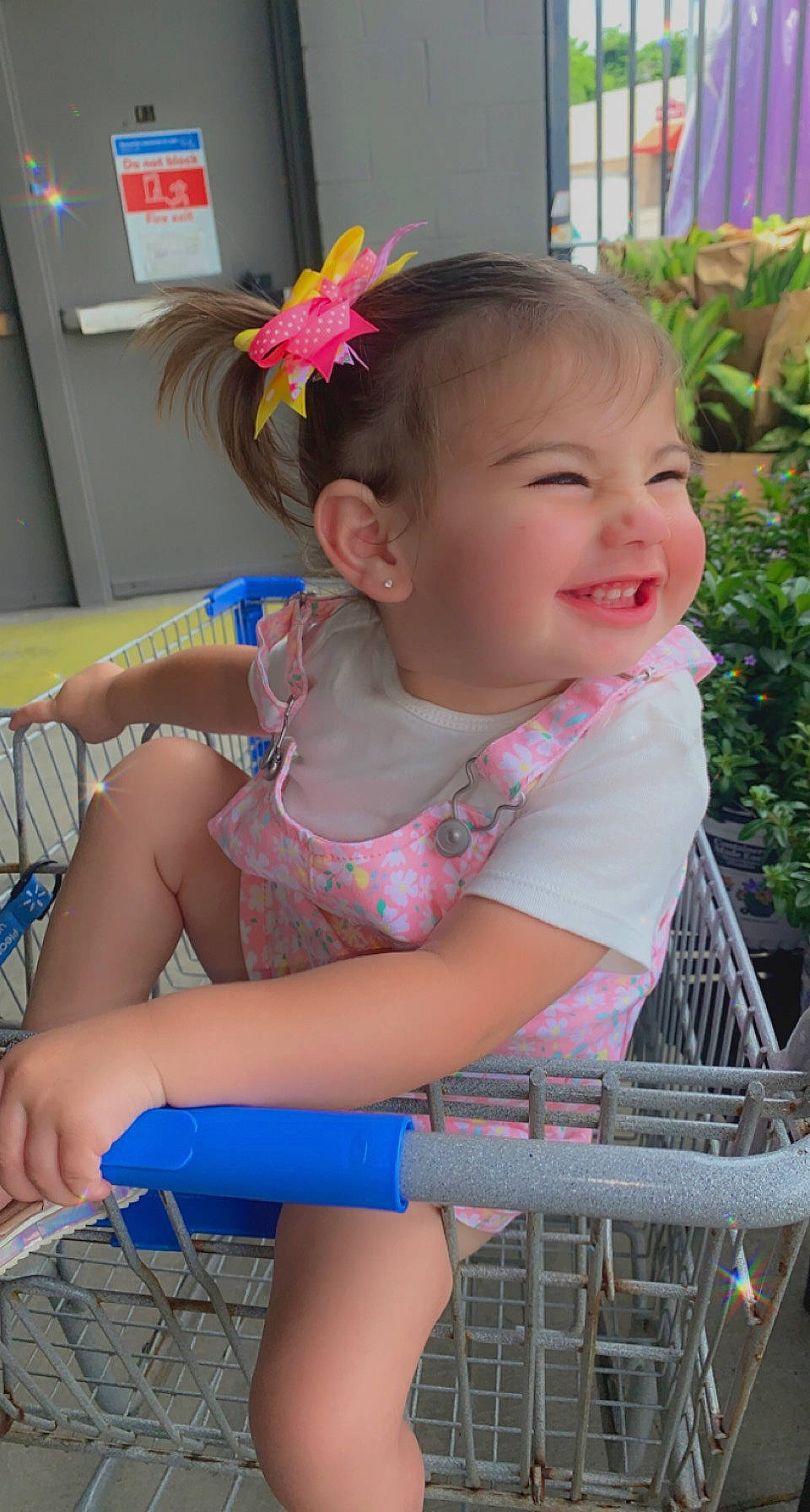 Meadow is registered to the contest to win money with this photo: baby_toddler_clothing, beauty, blue, child, clothing, fun, grass, happy, head, human_leg, joy, leisure, person, pink, plant, shopping_cart, skin, smile, snapshot, thigh