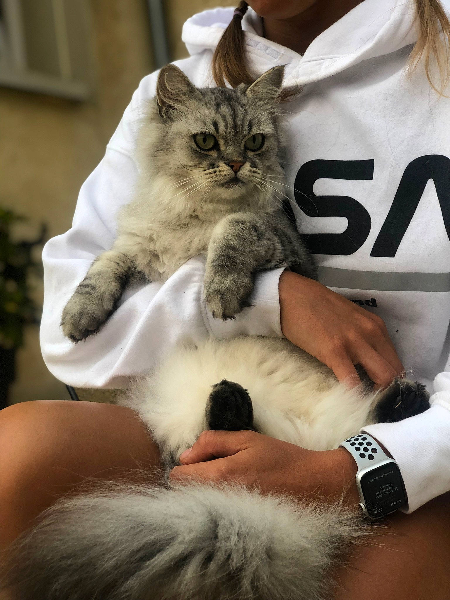 Oméga participe au concours pour gagner de l'argent avec cette photo : bag, carnivore, cat, clock, comfort, domestic_short_haired_cat, elbow, eyewear, felidae, finger, fur, gesture, logo, nail, sitting, small_to_medium_sized_cats, watch, whiskers, white, wrist