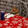 cat, ginger_cat, orange_cat, feline, pet, chair, dining_table, table, tablecloth, snowflake_pattern, fork, napkin, soda_can, can, curtains, striped_curtains, indoor, holiday_table, seat, portrait