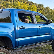 Coco is registered to the contest to win money with this photo: dog, vehicle, truck, blue, window, outdoor, nature, trees, sky, gravel, greenery, pet, parked, reflection, automobile, daylight, limited_badge, side_mirror, tire, sunlight