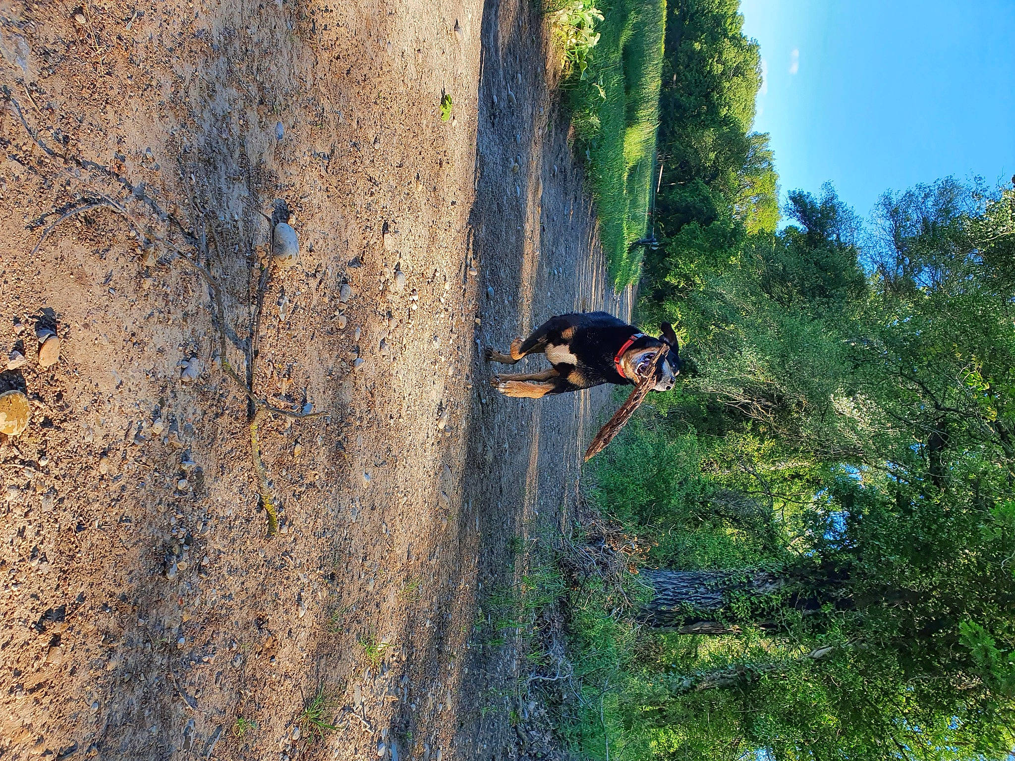 Gino participe au concours pour gagner de l'argent avec cette photo : adventure, extreme_sport, fun, grass, landscape, leaf, leisure, natural_environment, people_in_nature, plant, recreation, rock, sky, slope, soil, tire, tree, trunk, window, wood