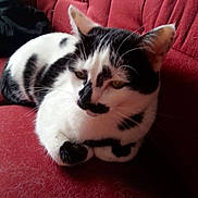Willow participe au concours pour gagner de l'argent avec cette photo :