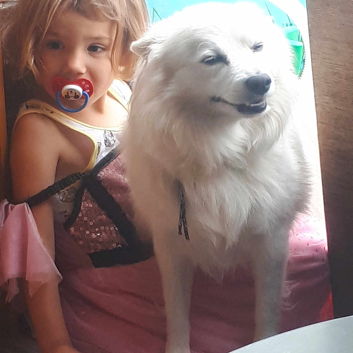 Loupi