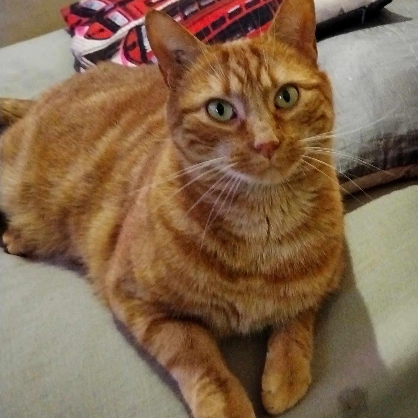 Caramel