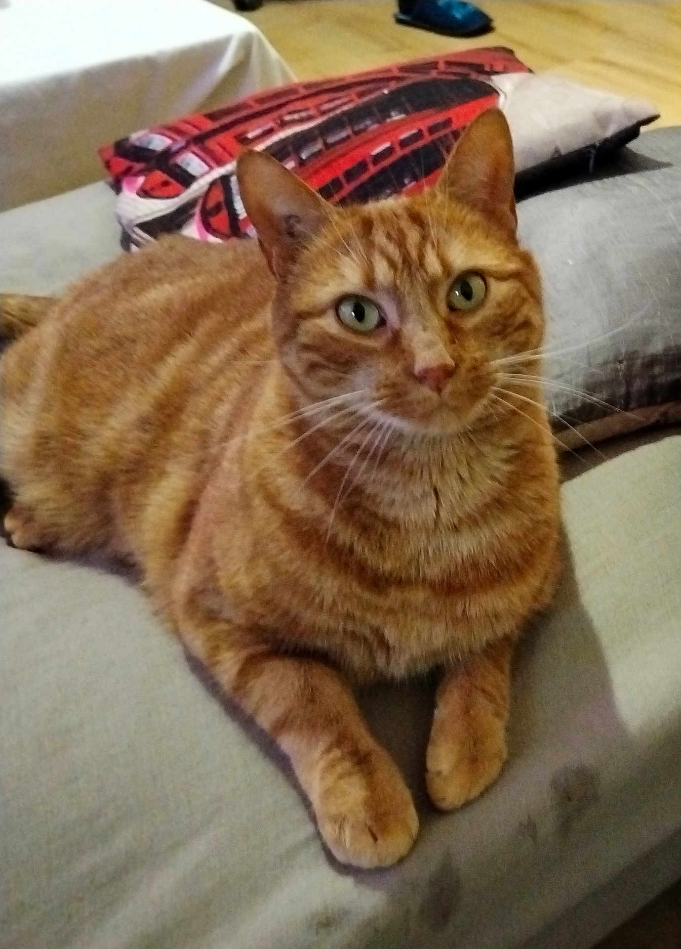 Caramel