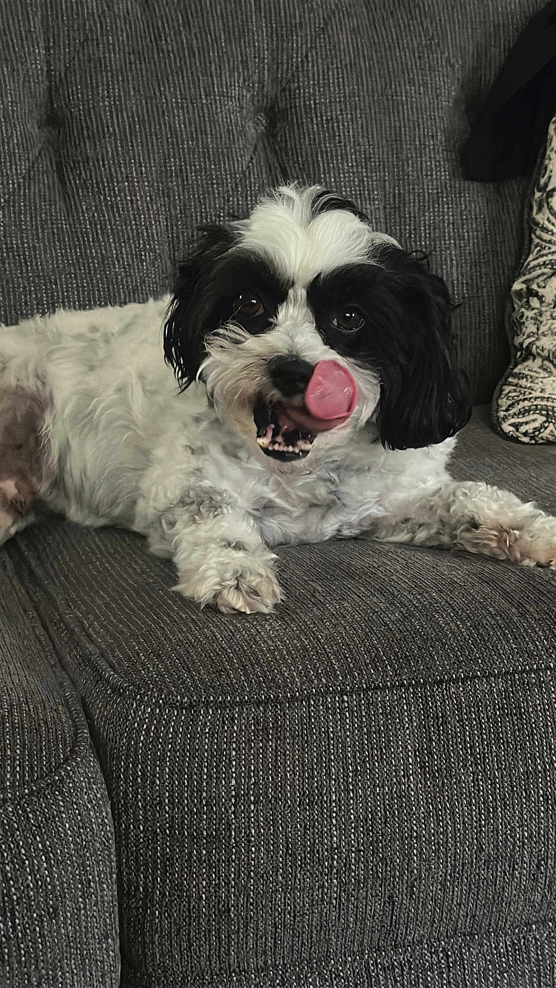 Bruno