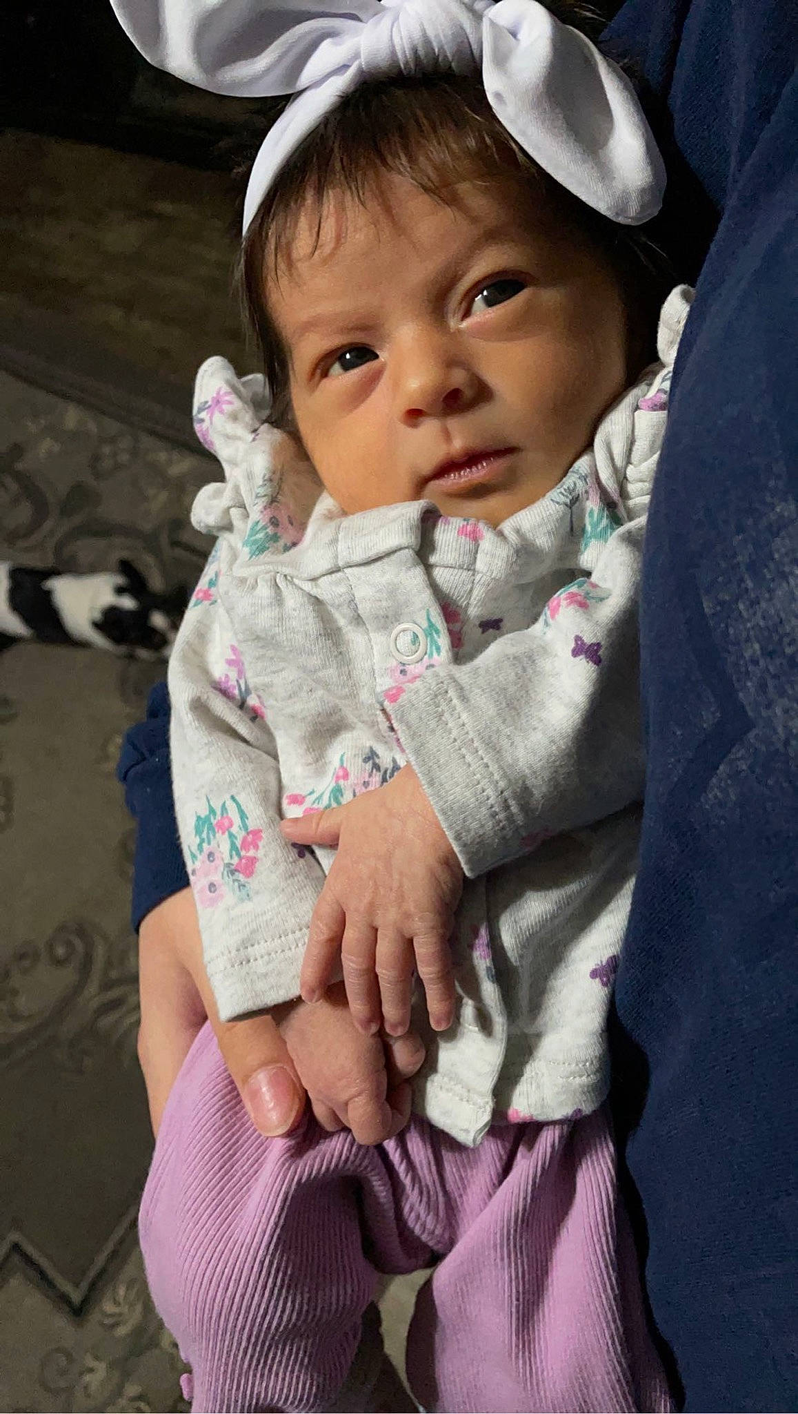 Amani is registered to the contest to win money with this photo: baby, baby_carriage, baby_toddler_clothing, cap, cheek, child, eyebrow, eyelash, face, gesture, happy, iris, lip, nose, person, pink, plant, skin, sleeve, smile