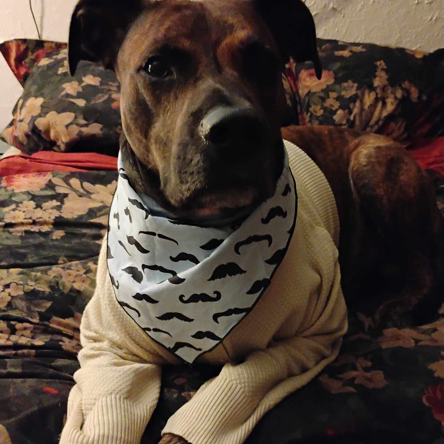 Oscar
