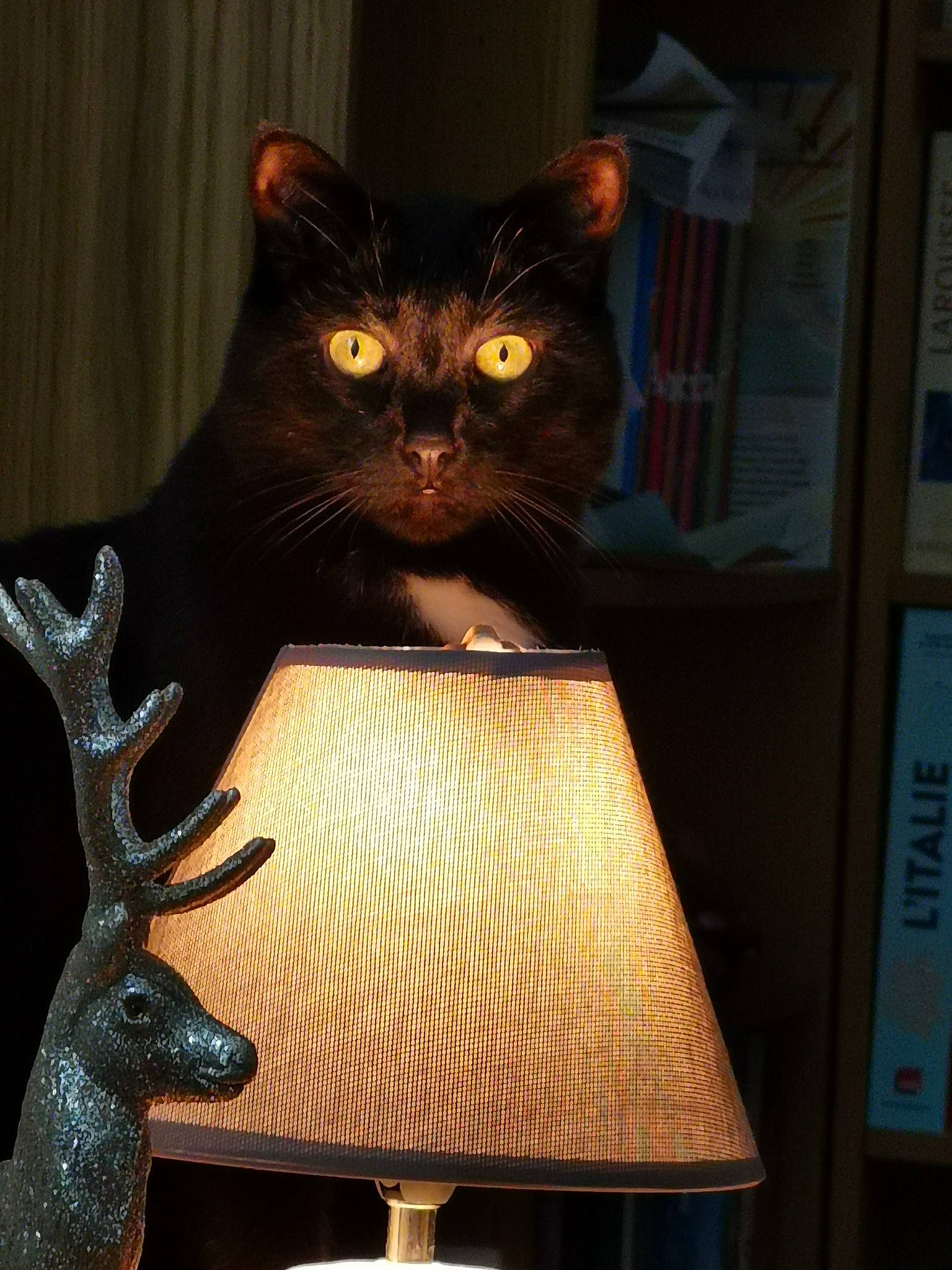 Salem