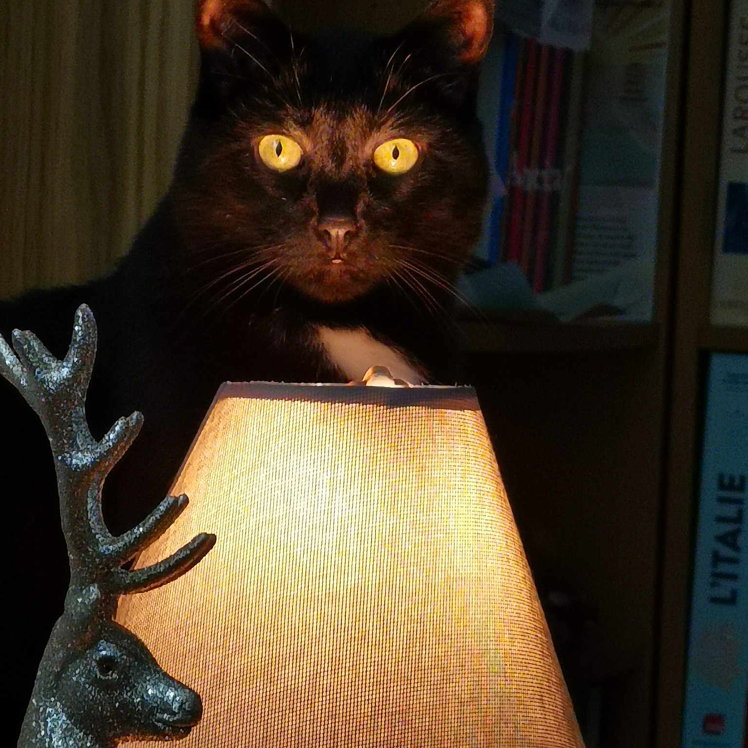 Salem