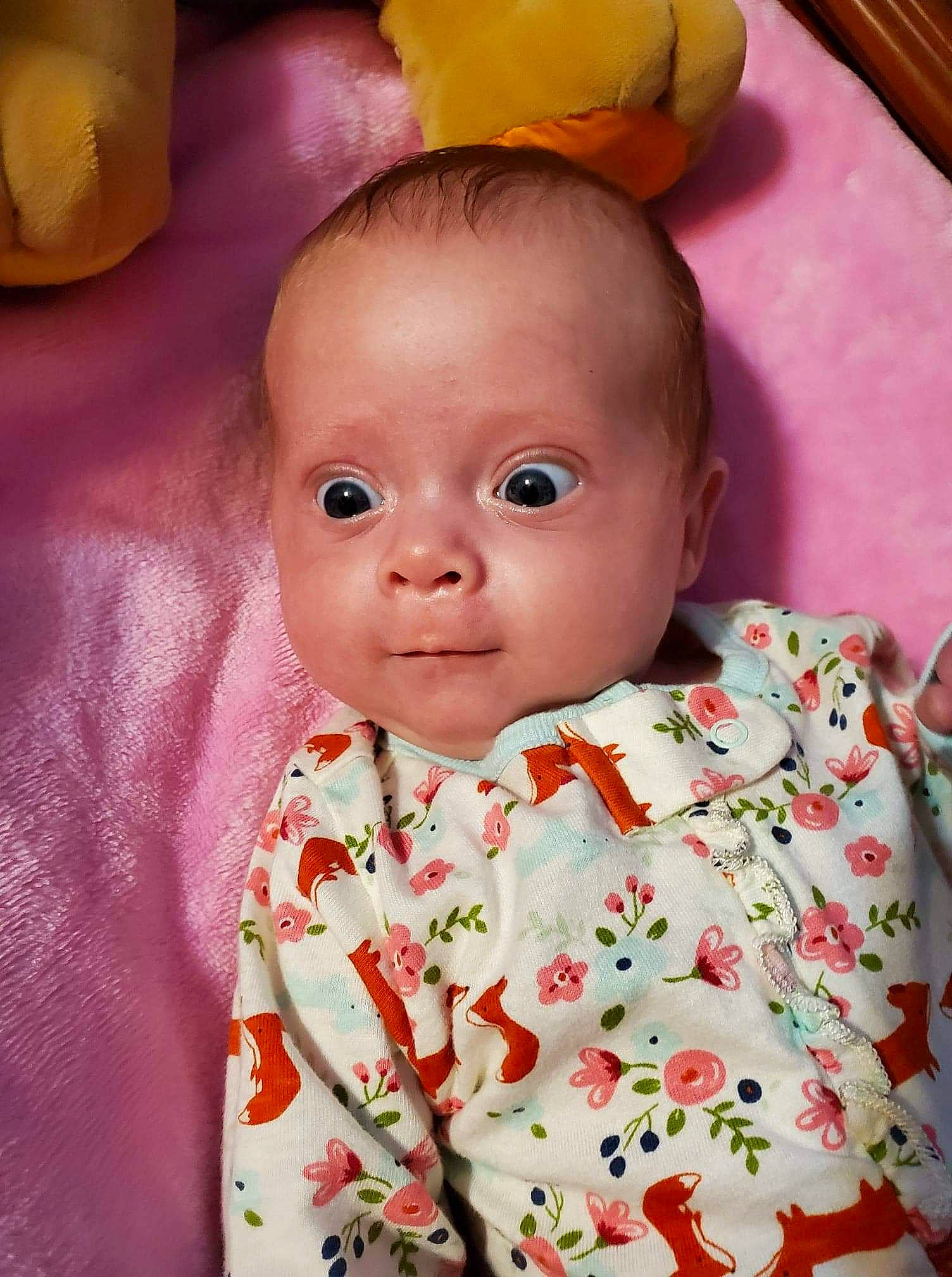 June is registered to the contest to win money with this photo: baby, baby_toddler_clothing, cheek, child, chin, eye, eyelash, face, facial_expression, happy, head, iris, lip, nose, person, pink, skin, smile, textile, toddler