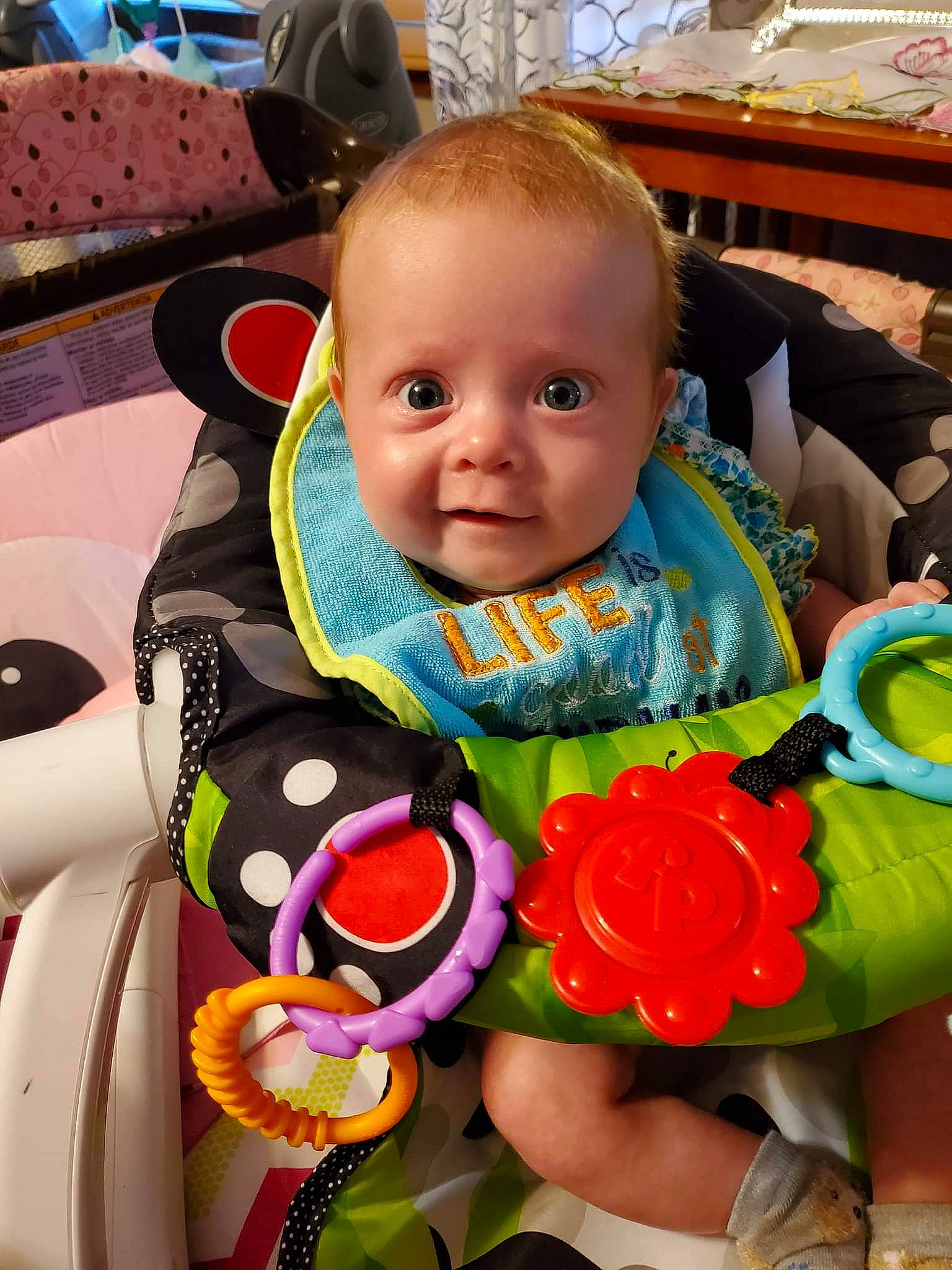 June is registered to the contest to win money with this photo: baby, baby_products, baby_toddler_clothing, chair, child, eye, flower, fun, happy, hybrid_tea_rose, iris, person, petal, photograph, pink, plant, product, rose, rose_order, skin