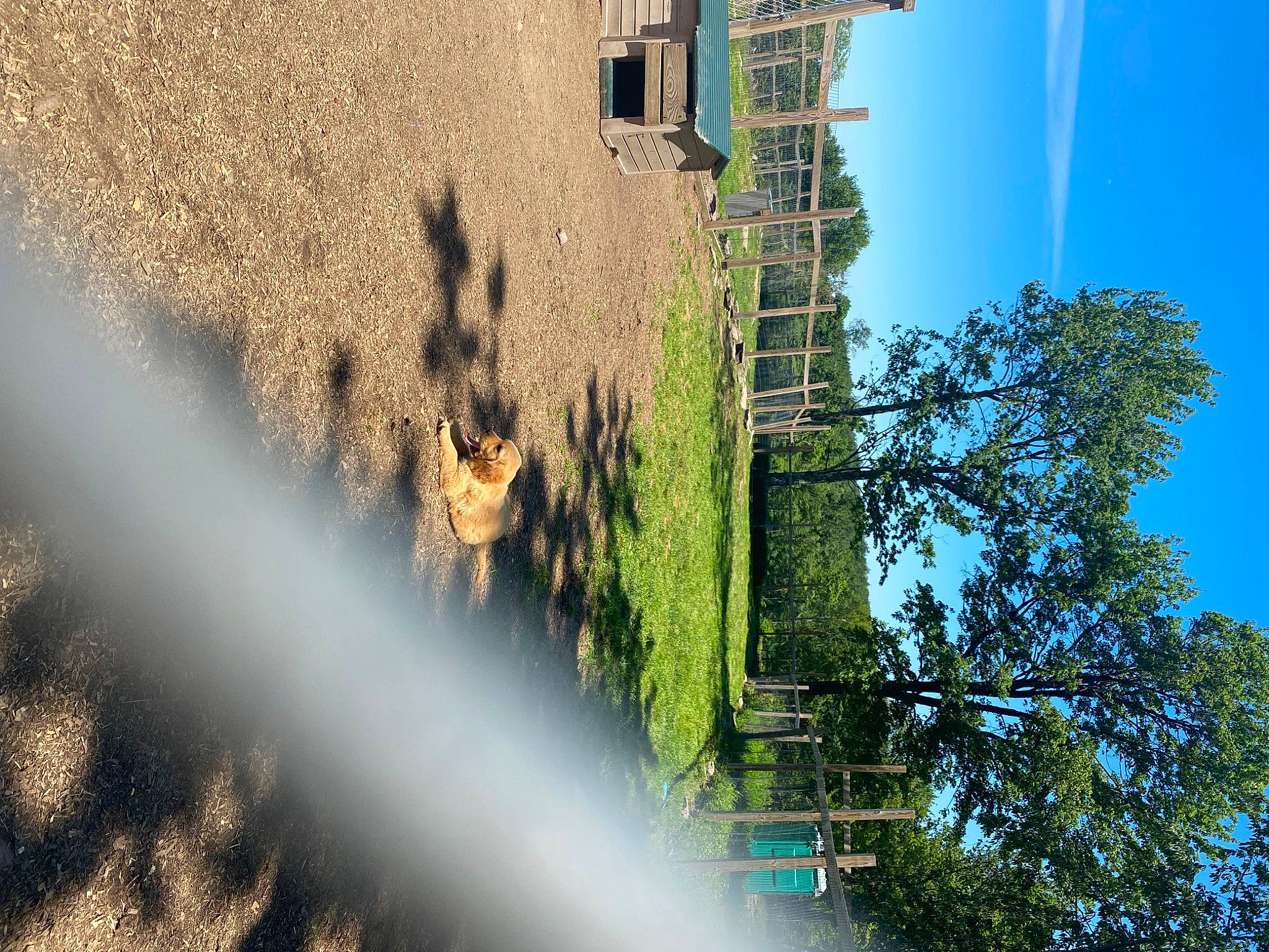 Veshremy is registered to the contest to win money with this photo: biome, branch, building, daytime, grass, house, landscape, leaf, line, natural_landscape, plant, sky, sunlight, tints_and_shades, tree, urban_design, vegetation, water, wood, woody_plant