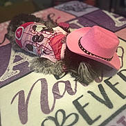 Jezable is registered to the contest to win money with this photo: accessory, animal, blanket, cartoon_print, casual, clothing, cozy, cute, decorative_text, dog, domestic_animal, fur, indoor, lying_down, pet, pink_hat, playful, resting, small_dog, soft_focus