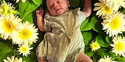 Elliana is registered to the contest to win money with this photo: baby, infant, sleeping, flower, green_leaves, nature, cute, peaceful, floral_outfit, newborn, skin, portrait, resting, fresh, soft_light, plant, botanical, adorable, child, relaxation