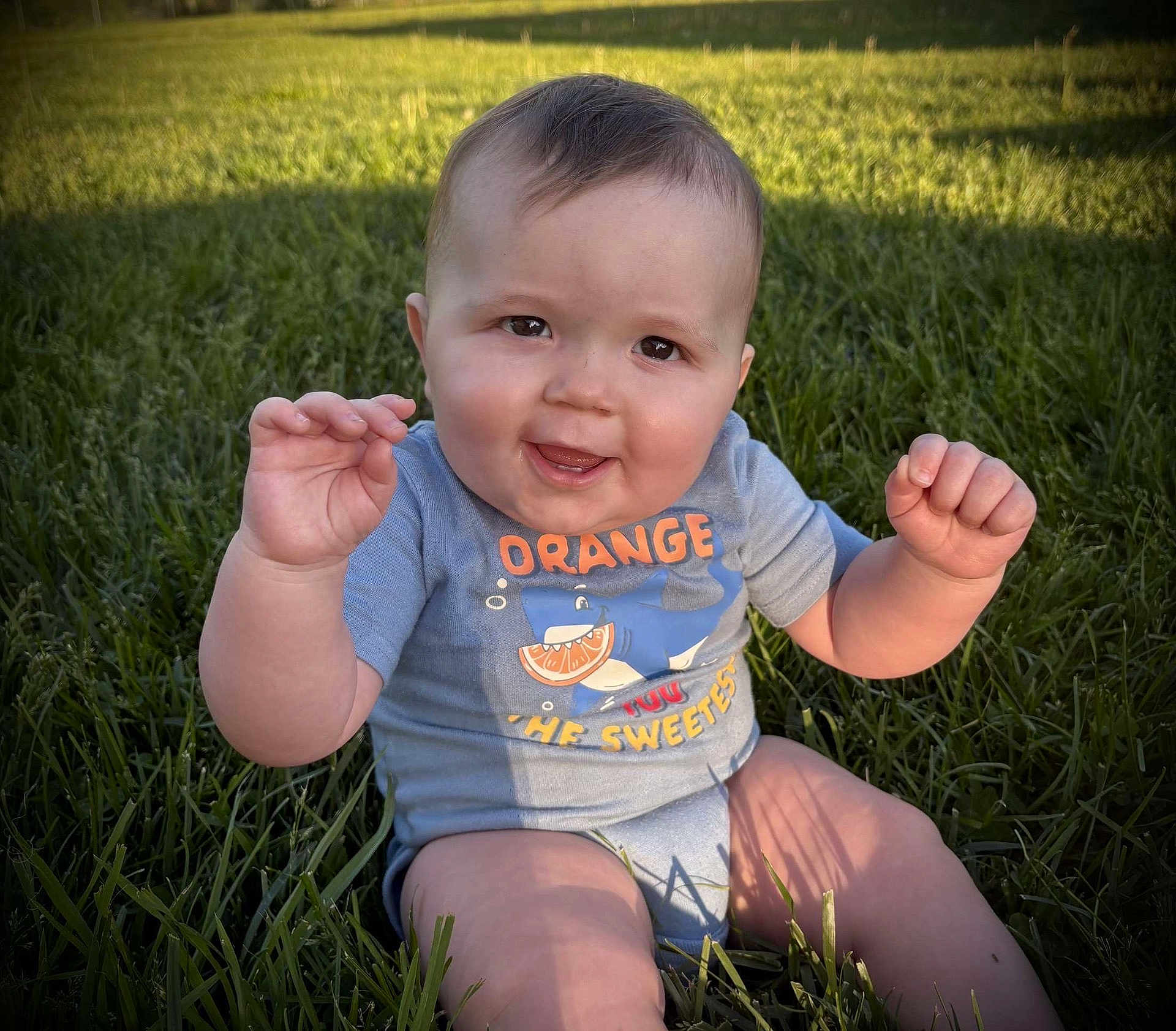 Richtofen is registered to the contest to win money with this photo: baby, child, grass, outdoor, smiling, blue_onesie, cute, happy, infant, sunlight, playful, sitting, hands, face, young, nature, green, casual_clothing, portrait, daylight