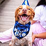 dog, birthday, party_hat, bandana, happy, smiling, pet, celebration, outdoor, wooden_deck, canine, close_up, festive, companion, human, casual_clothing, pink_pants, white_shirt, friendship, joy