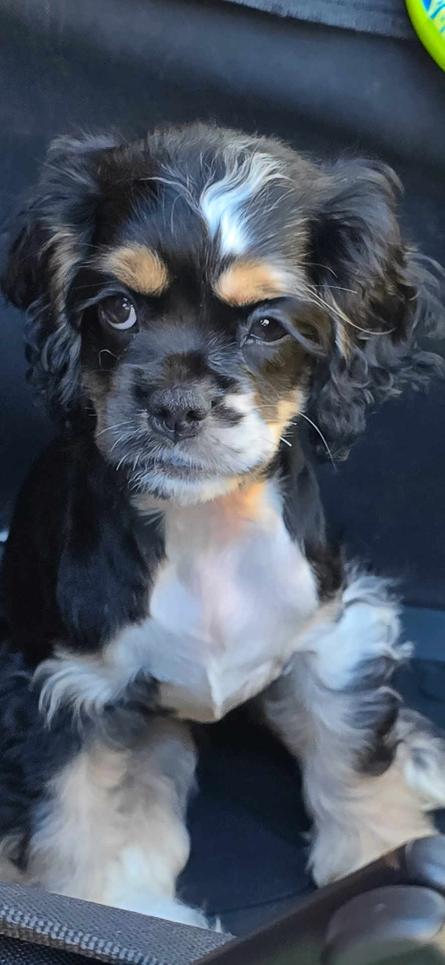 Lucy