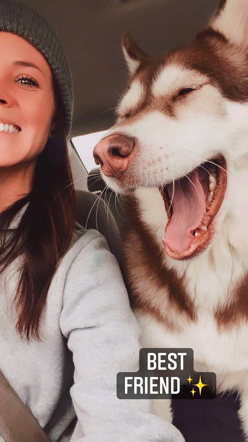 Lydia is registered to the contest to win money with this photo: carnivore, companion_dog, dog, dog_breed, eyelash, flash_photography, fur, gesture, happy, interaction, jaw, mammal, mouth, nose, photo_caption, selfie, sled_dog, smile, snout, whiskers