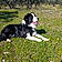 Athos