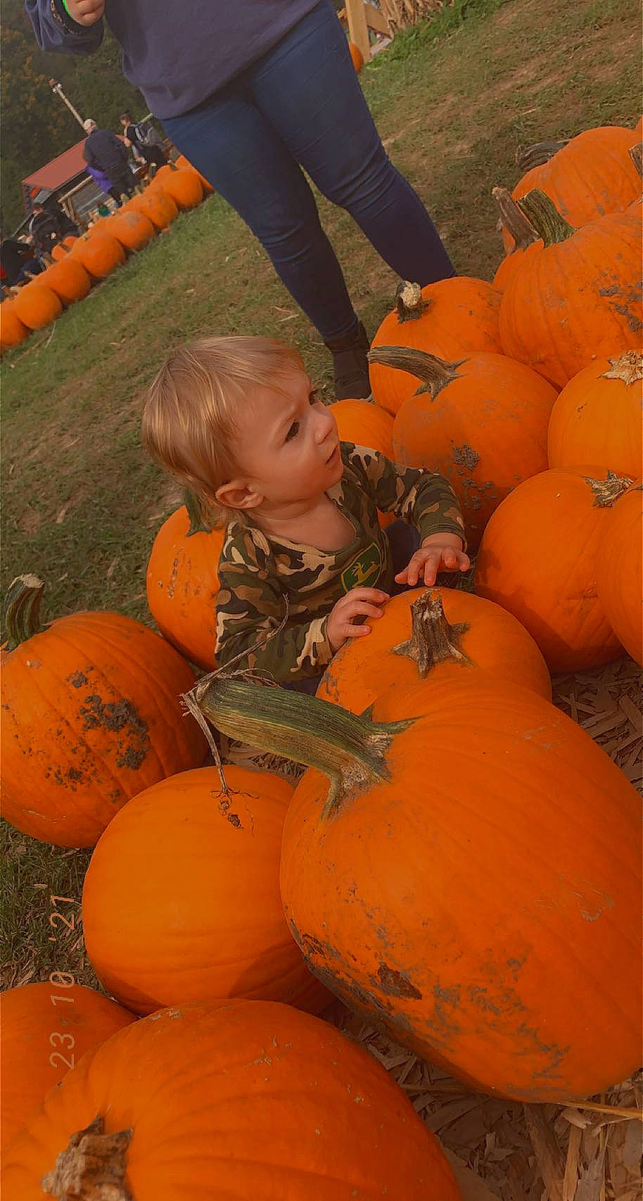 Issac joined the competition — help win amazing prizes! _and_melon_family, _gourd, calabaza, cucumber, cucurbita, food, fruit, gourd, local_food, natural_foods, orange, people, person, plant, produce, pumpkin, shorts, sitting, squash, tradition