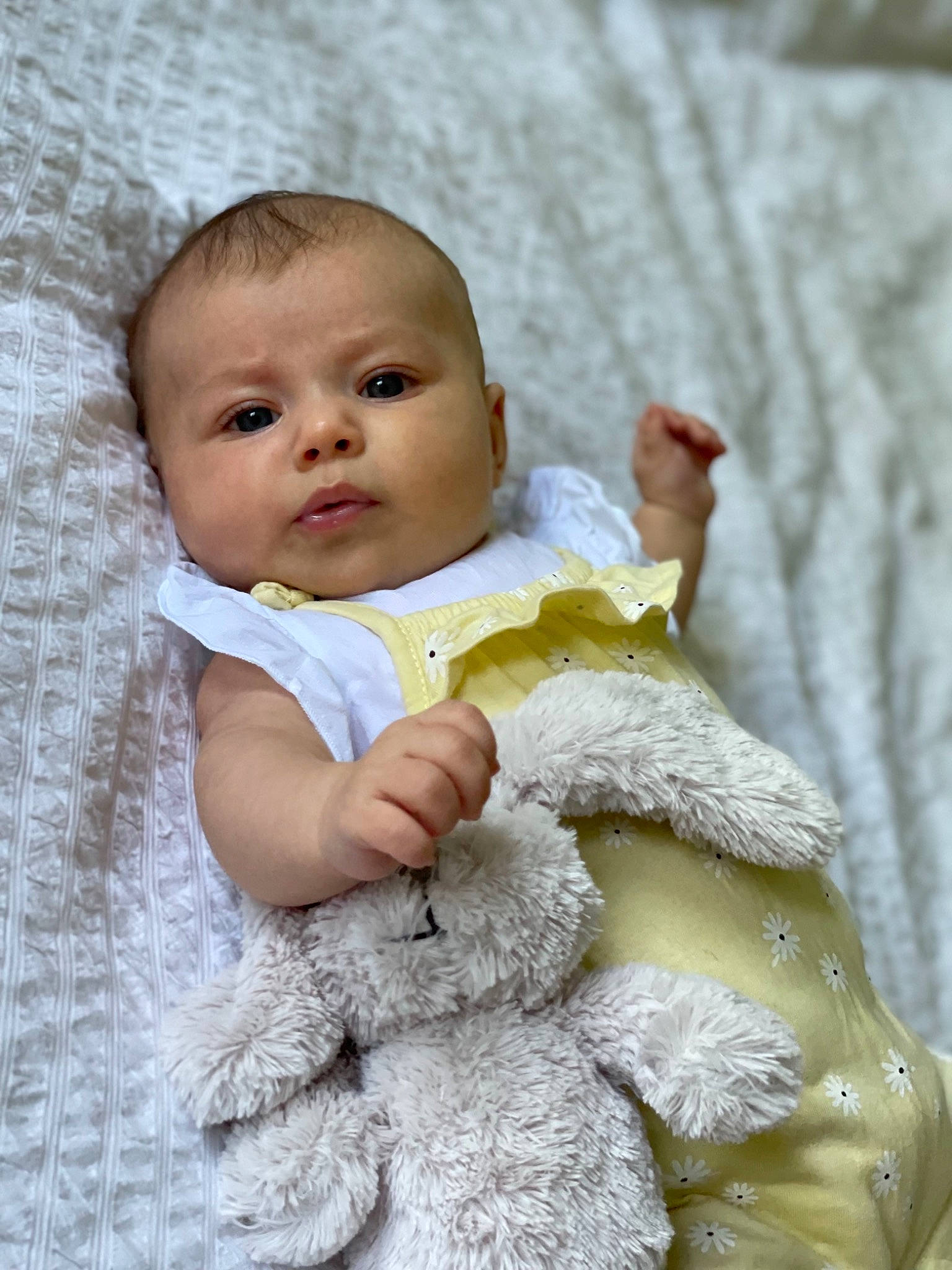 Alba a rejoint le concours — aidez-le/la à gagner de superbes lots ! baby, baby_toddler_clothing, cheek, child, close_up, eye, facial_expression, fur, gesture, happy, iris, linens, lip, nose, people_in_nature, person, sitting, skin, sleeve, toddler