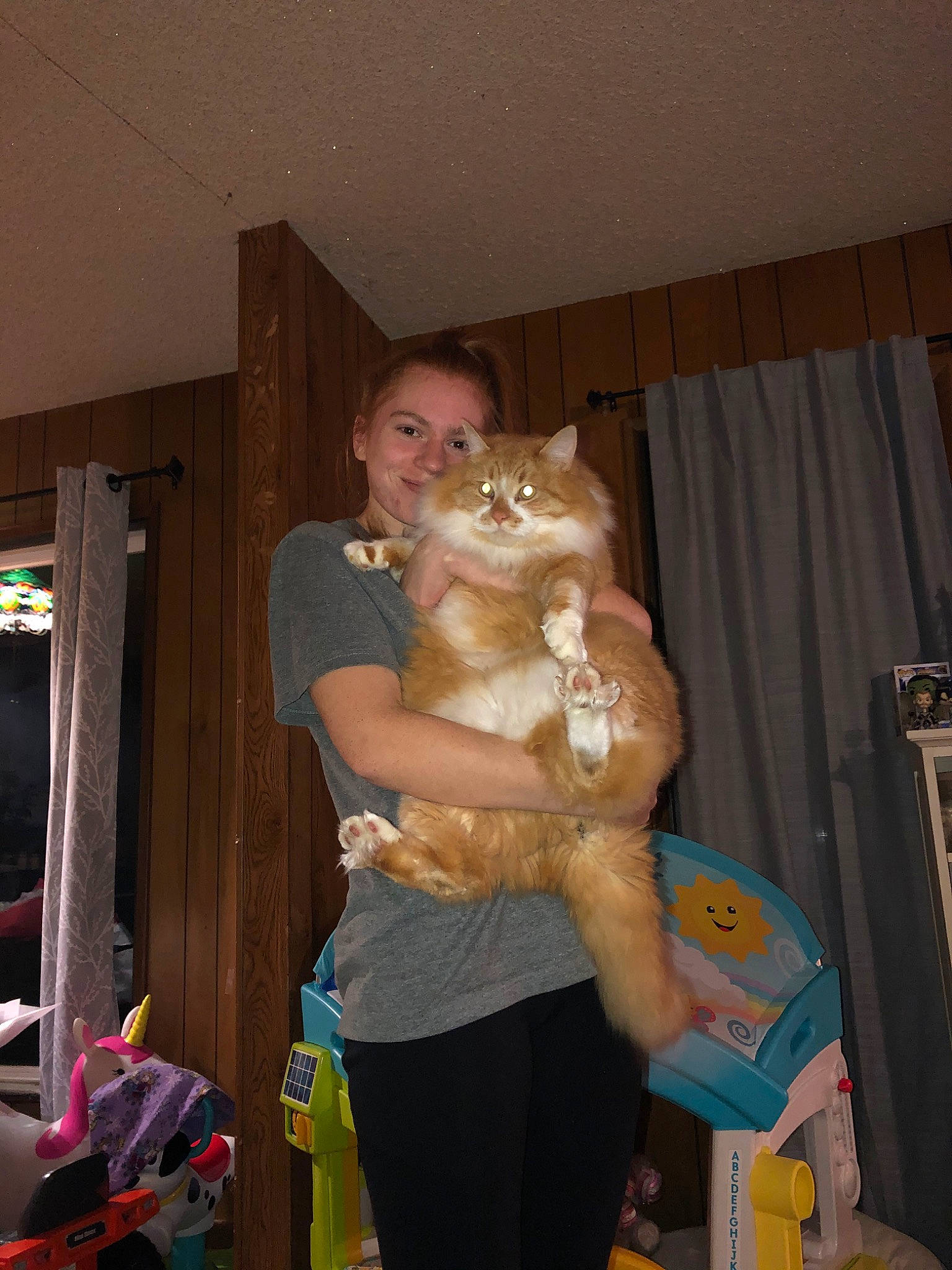 Furguson joined the competition — help win amazing prizes! abdomen, carnivore, cat, fawn, felidae, fur, long_hair, small_to_medium_sized_cats