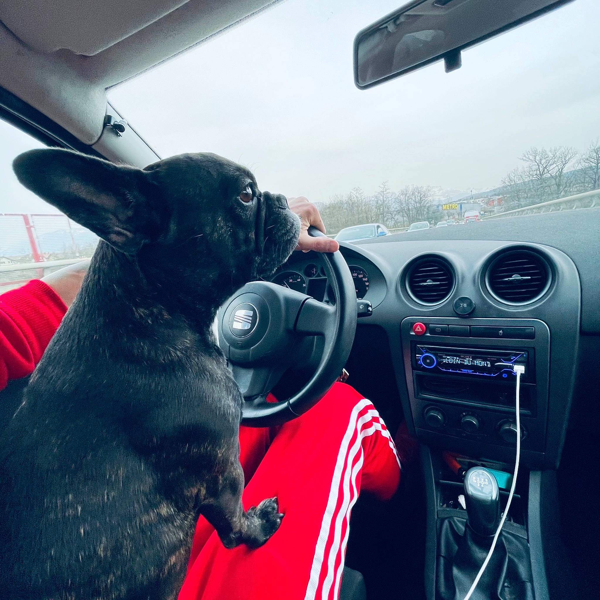 Moly participe au concours pour gagner de l'argent avec cette photo : automotive_design, automotive_exterior, automotive_lighting, automotive_mirror, car, gauge, gear_shift, gesture, land_vehicle, mode_of_transport, motor_vehicle, personal_luxury_car, radio, satellite_radio, sky, speedometer, steering_part, steering_wheel, vehicle, vehicle_door