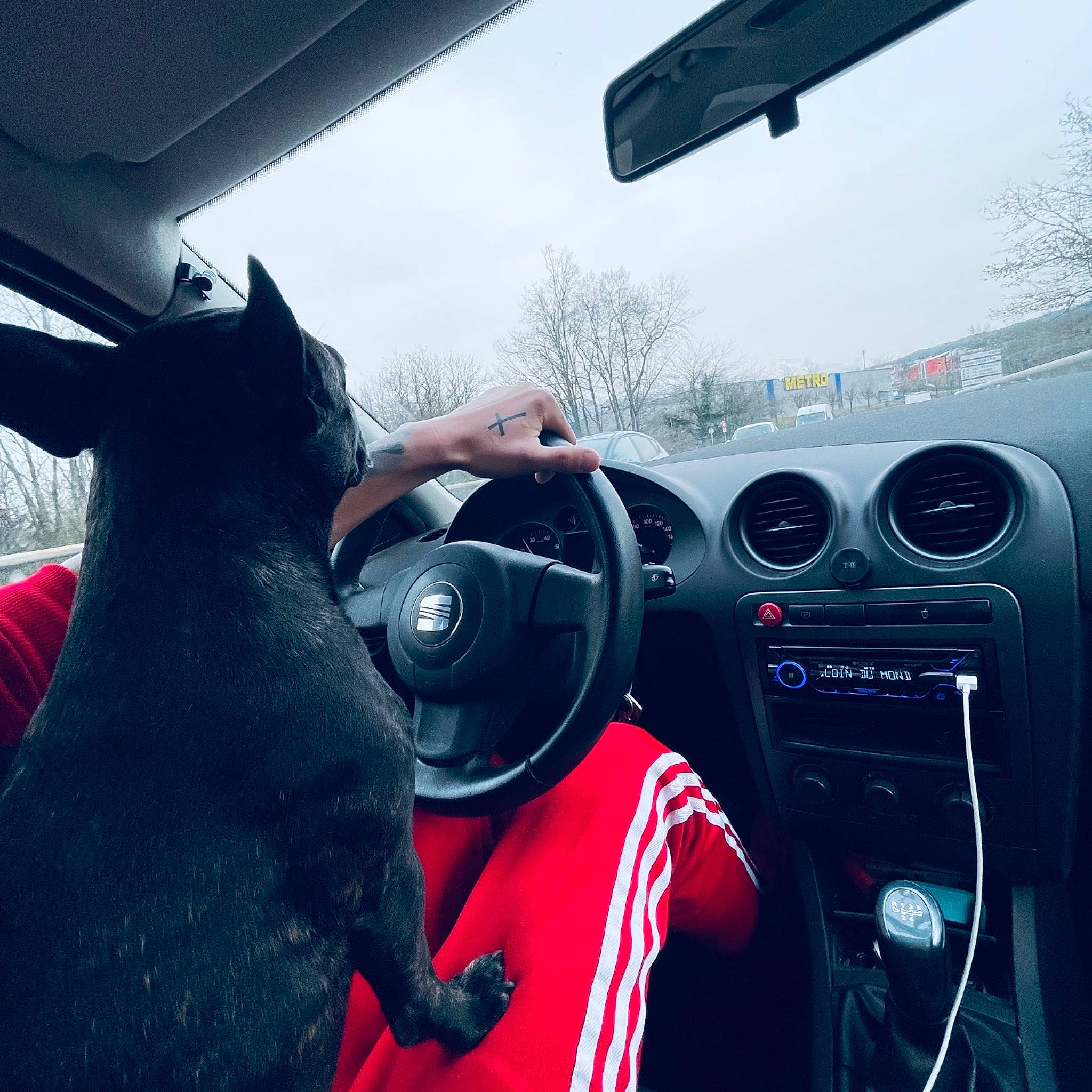 Moly a rejoint le concours — aidez-le/la à gagner de superbes lots ! auto_part, automotive_design, automotive_exterior, automotive_lighting, automotive_mirror, car, center_console, gauge, mode_of_transport, motor_vehicle, personal_luxury_car, plant, satellite_radio, sky, speedometer, steering_part, steering_wheel, vehicle, vehicle_audio, vehicle_door