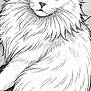 animal, artistic, black_and_white, cat, close_up, drawing, ears, eyes, face, feline, fluffy, fur, illustration, line_art, pet, portrait, relaxed, sketch, tile_floor, whiskers