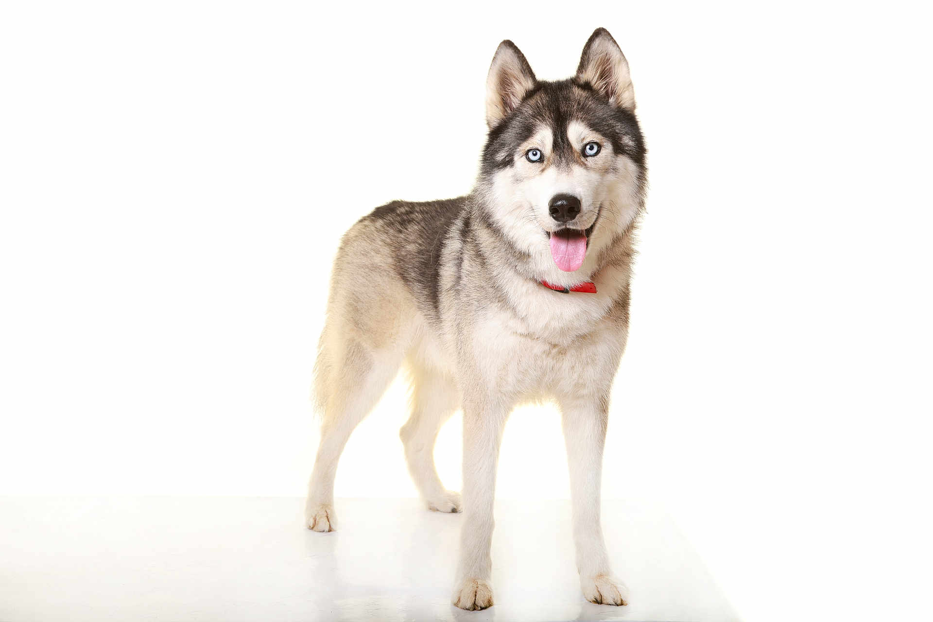 Naïko