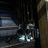 Callie Coo joined the competition — help win amazing prizes! cat, tortoiseshell_cat, stairs, wood, sunlight, shadow, indoor, pet, animal, feline, white_paws, dark_wood, texture, moody, sitting, quiet, light_and_shadow, house, cozy, mysterious