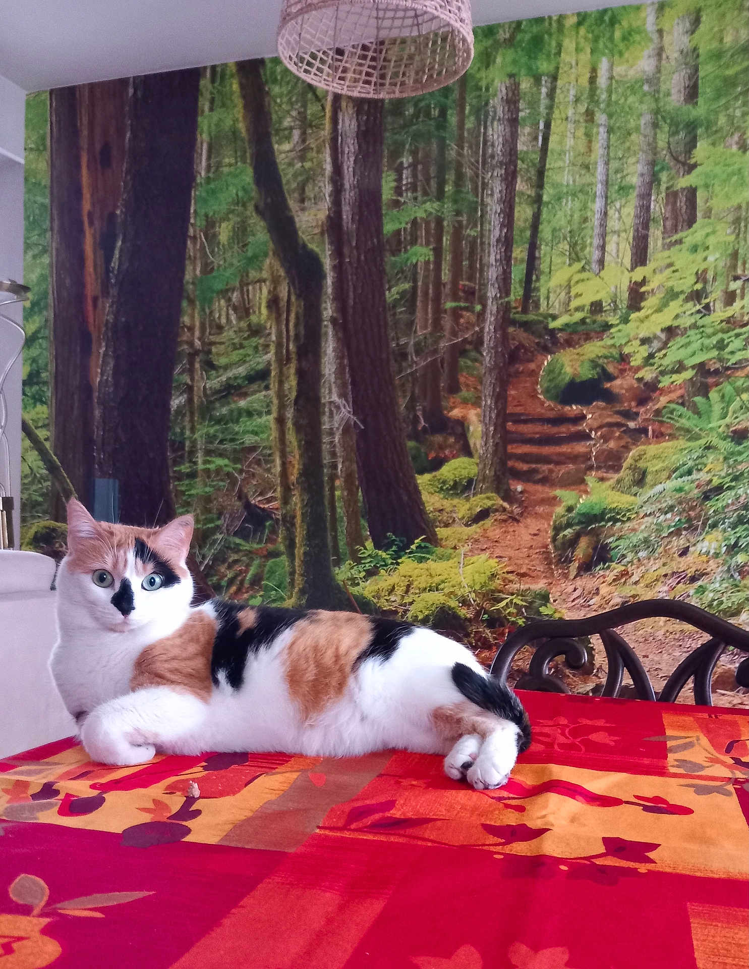 Yaëlle a rejoint le concours — aidez-le/la à gagner de superbes lots ! cat, calico_cat, table, tablecloth, indoor, forest_mural, wall_art, furniture, chair, relaxed, animal, pet, colorful, pattern, nature_scene, greenery, wood, moss, plants, cozy