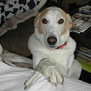 Atthys a rejoint le concours — aidez-le/la à gagner de superbes lots !