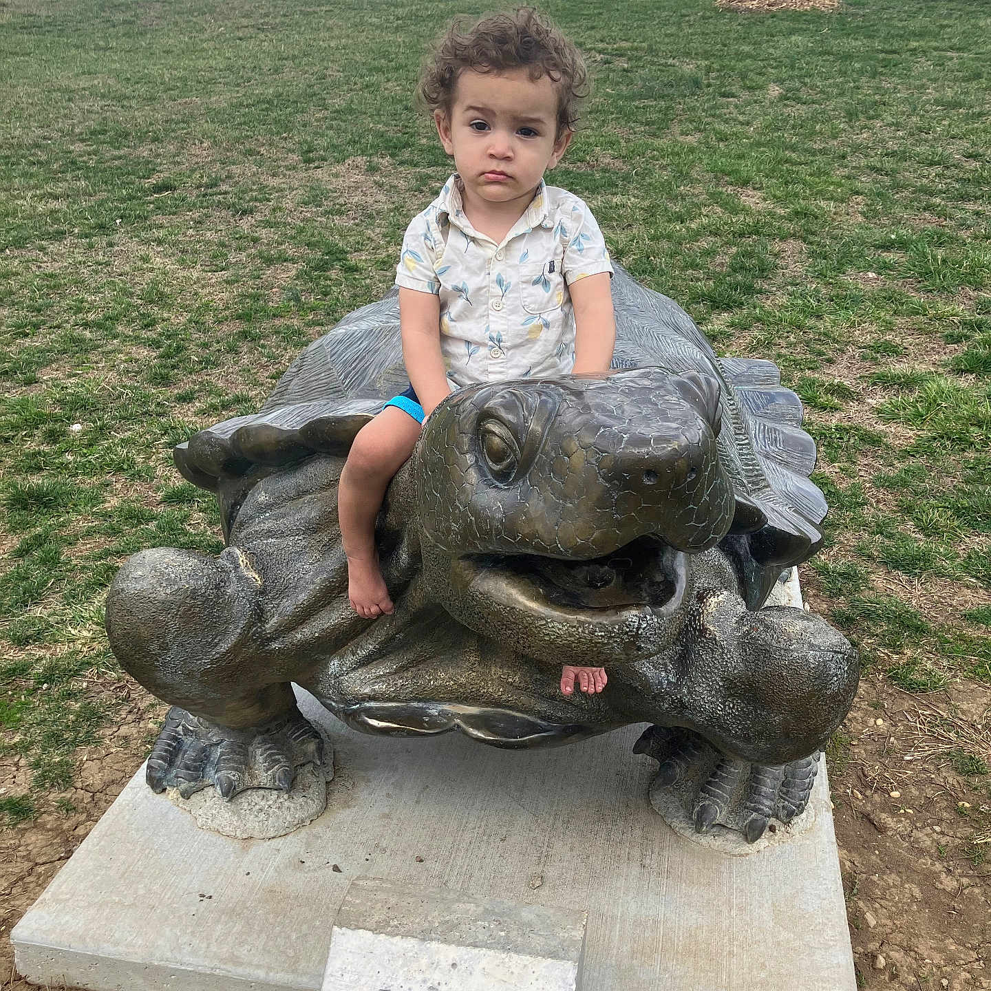 Noah is registered to the contest to win money with this photo: animal, boy, car, child, face, grass, head, male, nature, outdoors, park, person, photography, plant, portrait, reptile, sealife, tortoise, transportation, turtle
