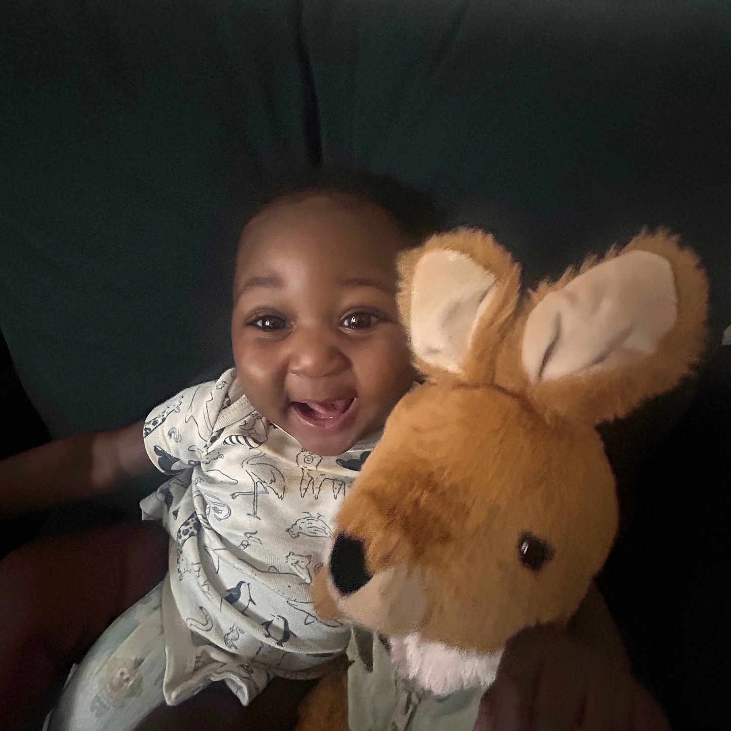 Kaji is registered to the contest to win money with this photo: baby, child, clothing, couch, cute, dark_background, face, happy, indoor, infant, joy, kangaroo, person, plush_toy, seated, short_sleeves, smiling, soft_toy, stuffed_animal, toy
